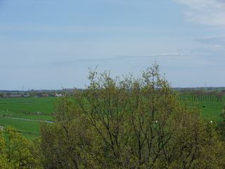 SDC16161