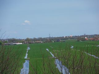 SDC16165