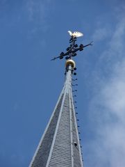 SDC16184