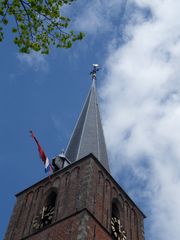 SDC16185
