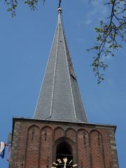 SDC16186
