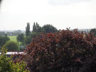 ztw-dorpskerk-sitesurvey-2012-007