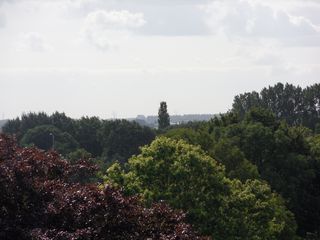 ztw-dorpskerk-sitesurvey-2012-008