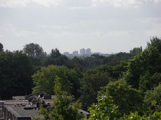 ztw-dorpskerk-sitesurvey-2012-009
