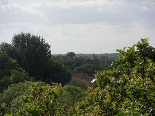 ztw-dorpskerk-sitesurvey-2012-010
