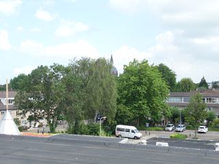 eendenkooi survey2012 05