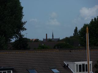 eendenkooi survey2012 06