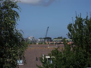eendenkooi survey2012 08