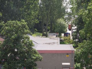 eendenkooi survey2012 15
