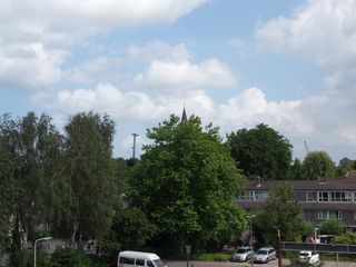 eendenkooi survey2012 16