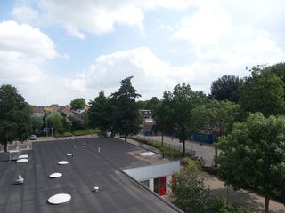 eendenkooi survey2012 19