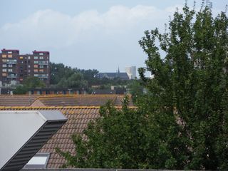 eendenkooi survey2012 20
