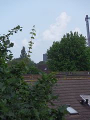 eendenkooi survey2012 22