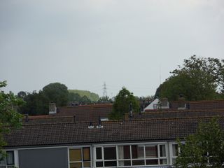 eendenkooi survey2012 23