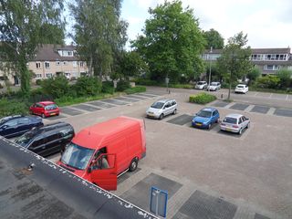 eendenkooi survey2012 29