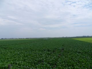SDC10709