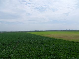 SDC10710