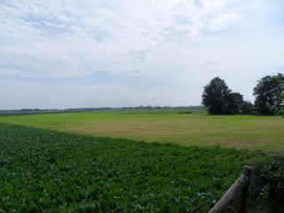SDC10711