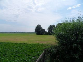 SDC10712