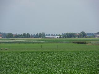 SDC10717