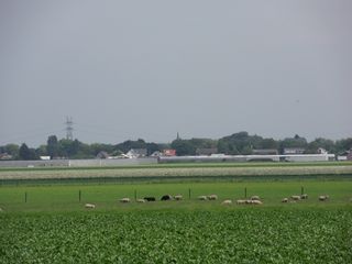 SDC10718