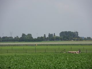 SDC10719