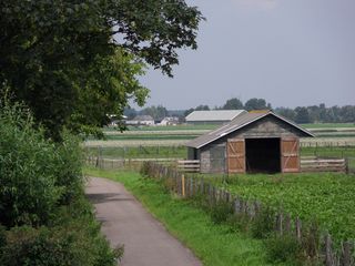 SDC10721