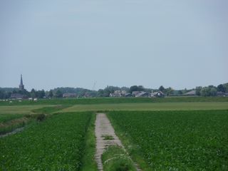 SDC10723