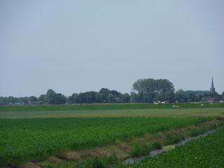SDC10724