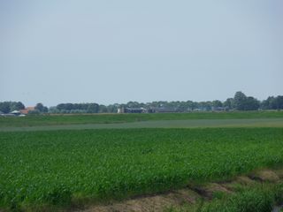SDC10725