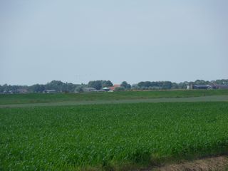 SDC10726