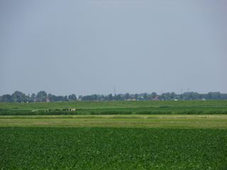 SDC10727