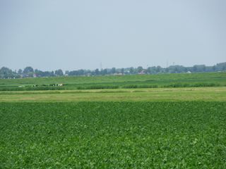 SDC10728