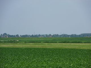 SDC10729