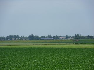 SDC10730