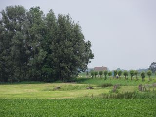 SDC10731