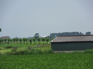SDC10732