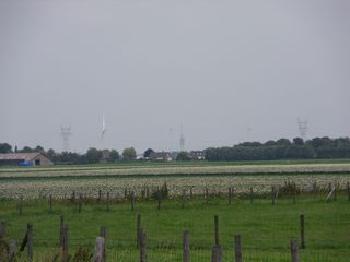 SDC10733