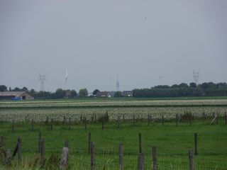 SDC10734