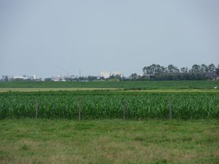 SDC10735