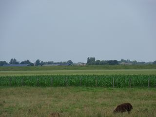 SDC10736