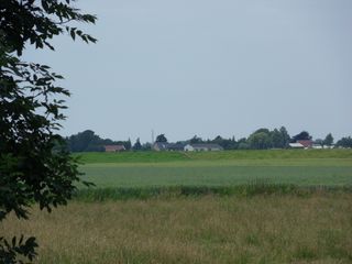 SDC10737