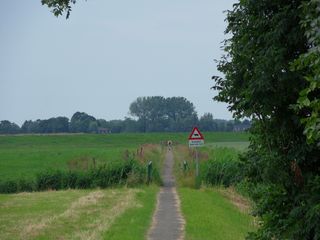 SDC10738