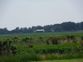 SDC10739