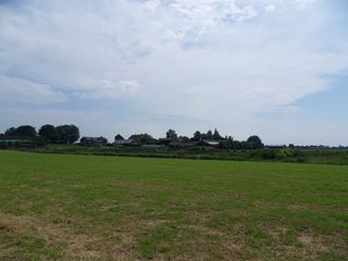SDC10740