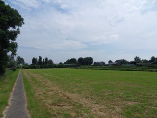 SDC10741