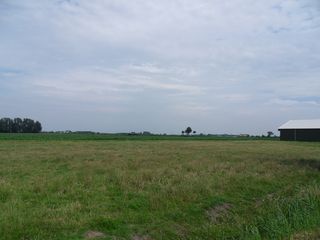 SDC10743