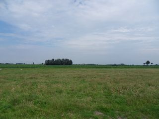 SDC10744