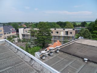 SDC10674