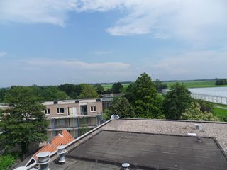 SDC10675